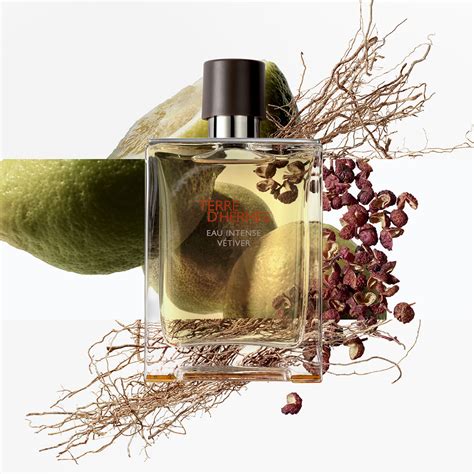 profumo terre hermes uomo|Terre D'Hermes Eau Intense Vetiver di Hermès da uomo.